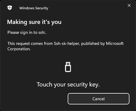 Windows Hello Touch Prompt
