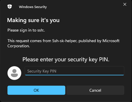 Windows Hello Pin Prompt